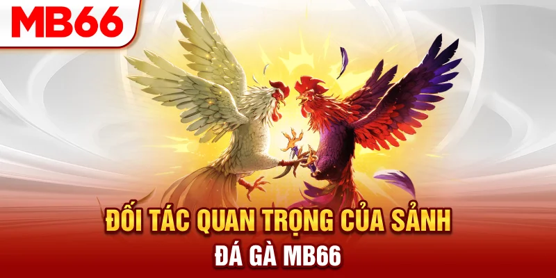 Đối tác quan trọng của sảnh đá gà MB66