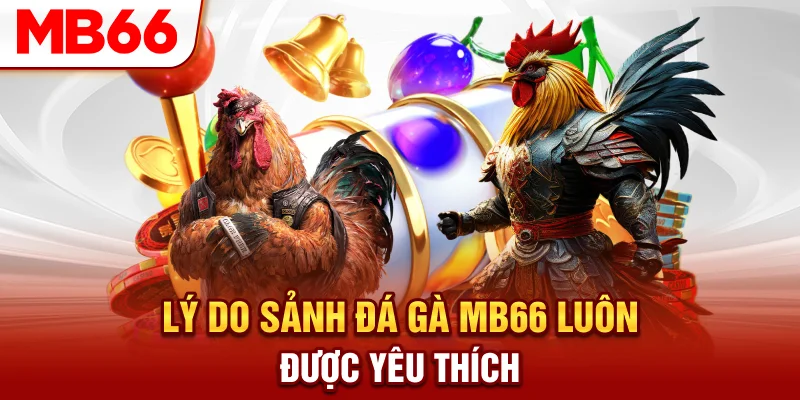 Lý do sảnh đá gà MB66 luôn được yêu thích
