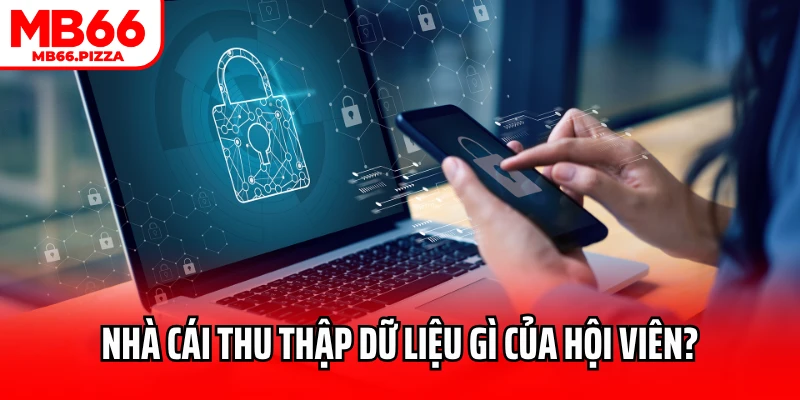 Nhà cái thu thập dữ liệu gì của hội viên?