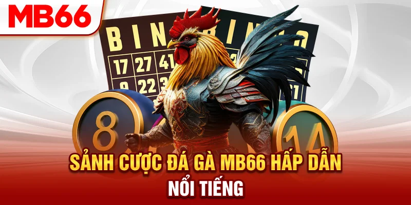 Sảnh cược đá gà MB66 hấp dẫn, nổi tiếng